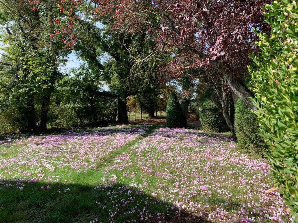 مبيت وإفطار Bengy-sur-Craon Domaine De Prefond المظهر الخارجي الصورة