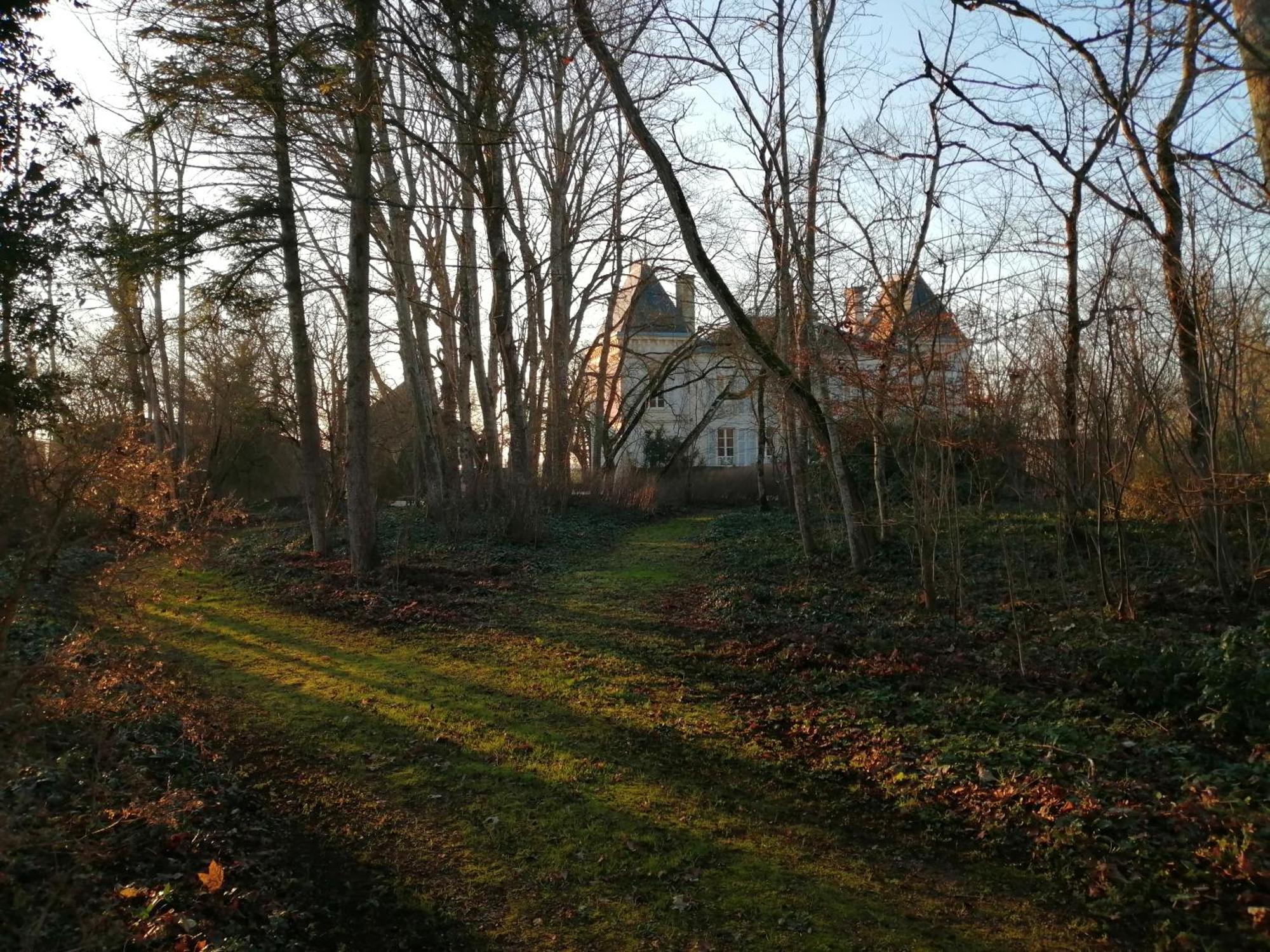 مبيت وإفطار Bengy-sur-Craon Domaine De Prefond الغرفة الصورة